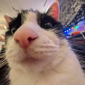 Meet your Posher, Sky